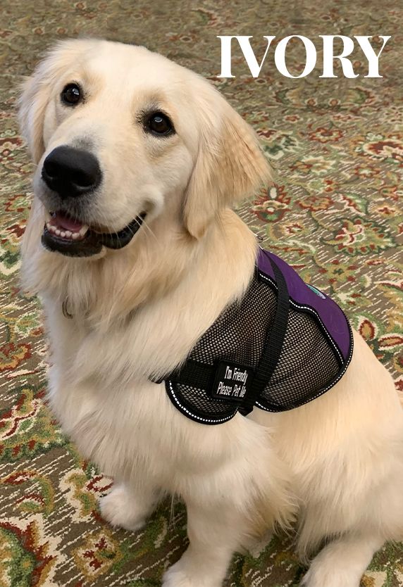 ivory Pet Friendly Assisted Living Communities Florence