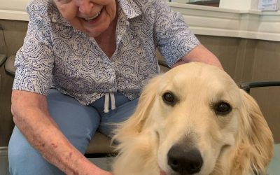Therapy Dogs at Benton House